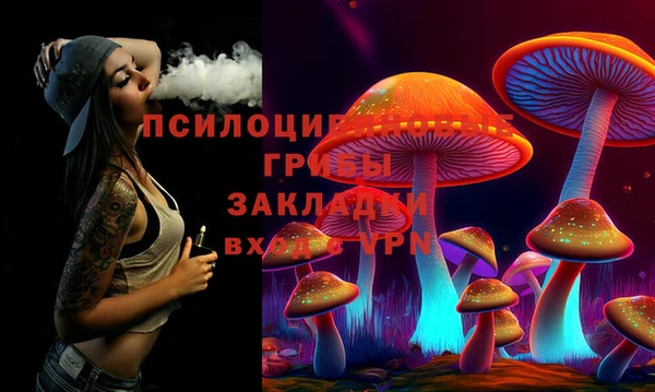 марки lsd Абаза