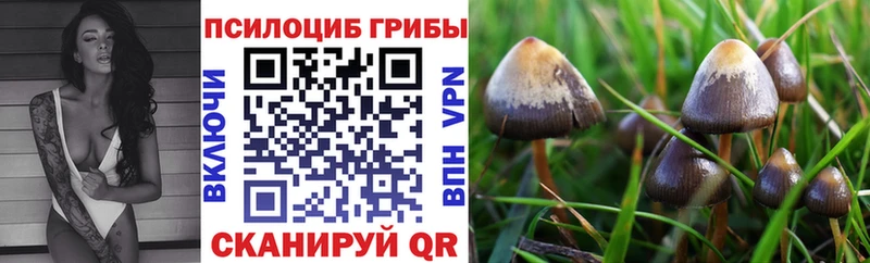kraken рабочий сайт  сайты даркнета как зайти  Галлюциногенные грибы ЛСД  Белоусово 